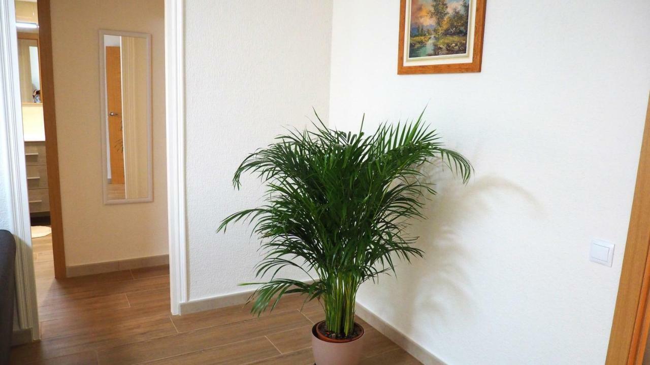 Apartamento En Ani アリカンテ エクステリア 写真